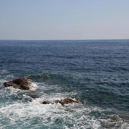 T2 Standing Cap Neree Apartment Saint-Raphael (Var)